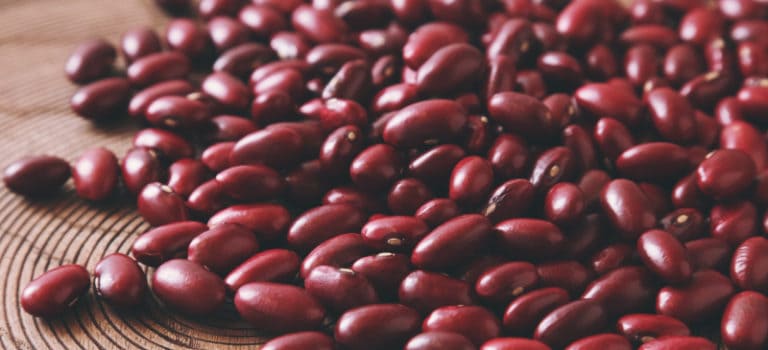Kidney Beans Nutrition, Benefits, Side Effects and Recipes - Dr. Axd