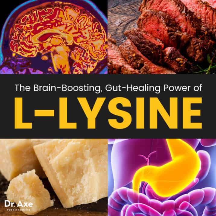 LLysine Benefits the Gut, Brain & Herpes Outbreaks Dr. Axe