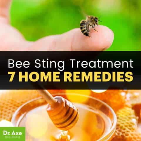 bee sting remedy pain