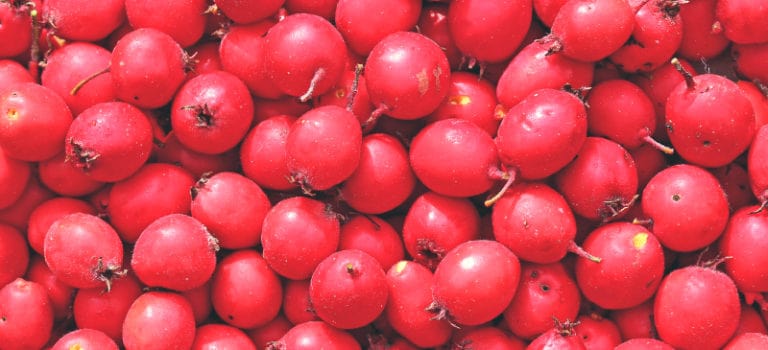 hawthorn-berry-health-benefits-and-how-to-use-dr-axe