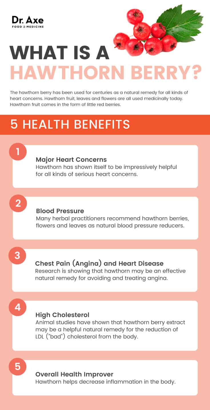 5 Hawthorn berry health benefits - Dr. Axe