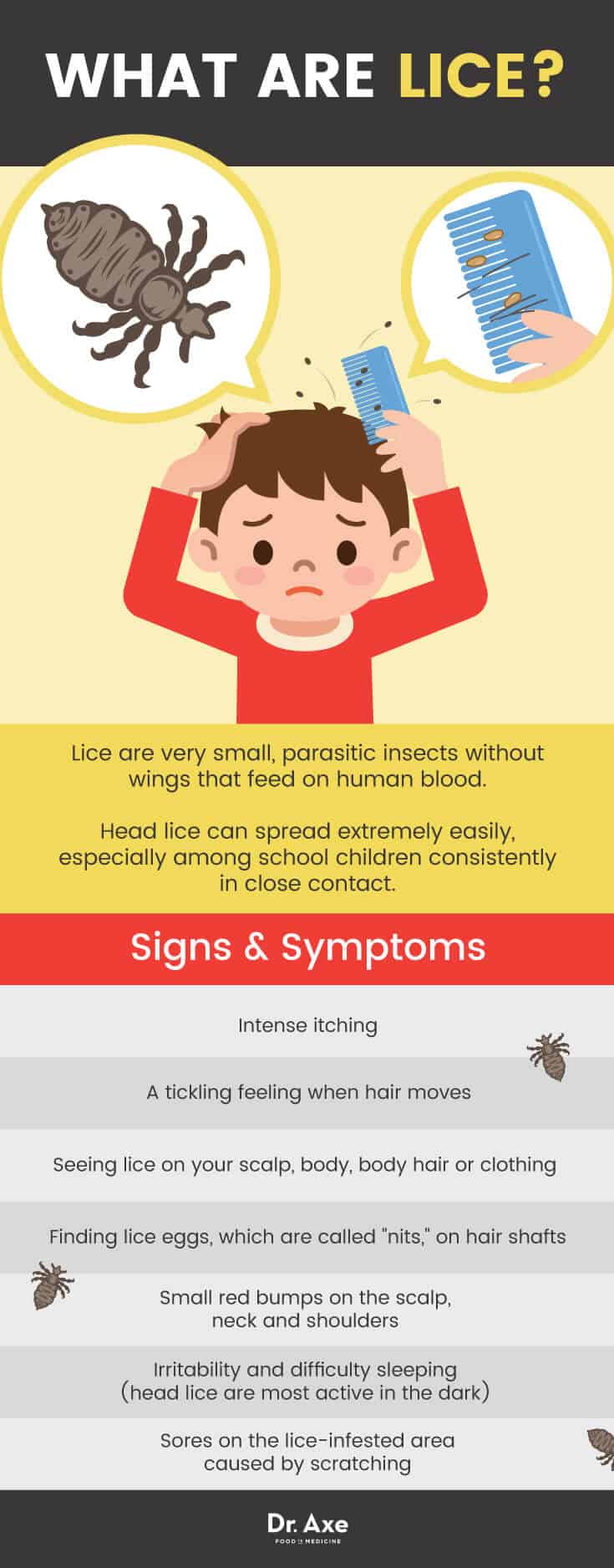 How to get rid of lice: signs & symptoms - Dr. Axe