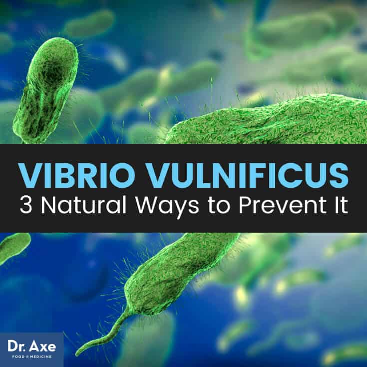 Vibrio vulnificus - Dr. Axe