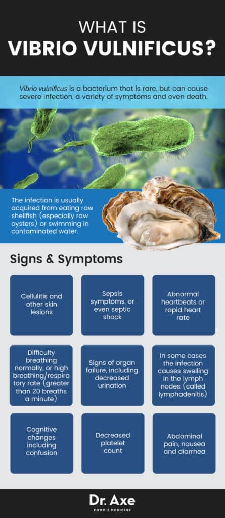 Vibrio Vulnificus Causes, Symptoms & Natural Protection - Dr. Axe