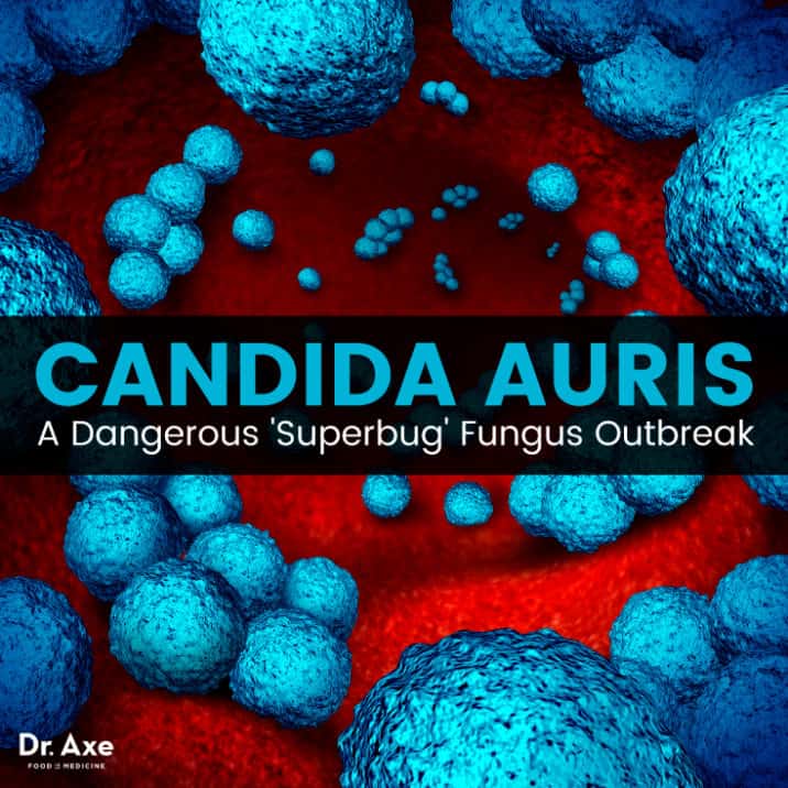 Candida auris Deadly Fungus Infects U.S. Healthcare Facilities Dr. Axe