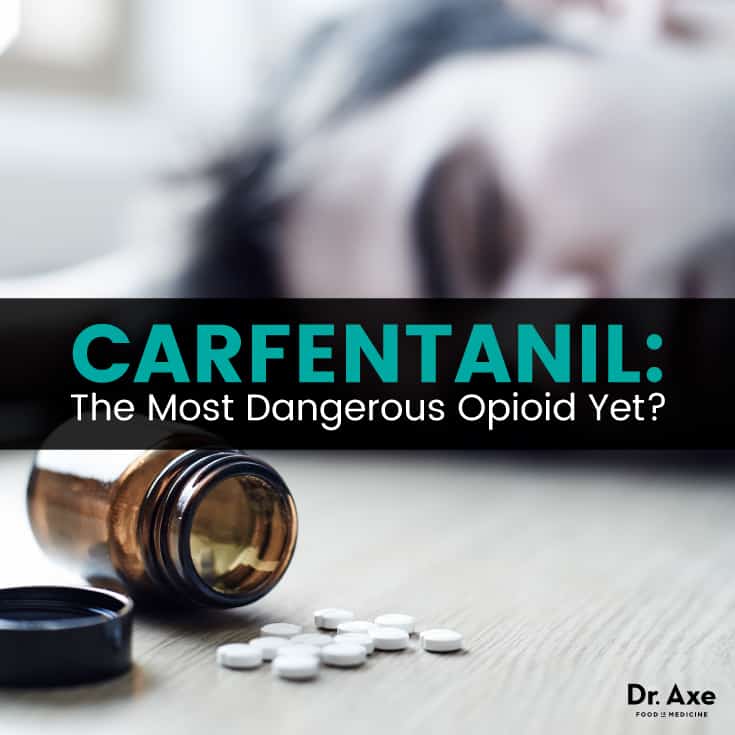Carfentanil - Dr. Axe