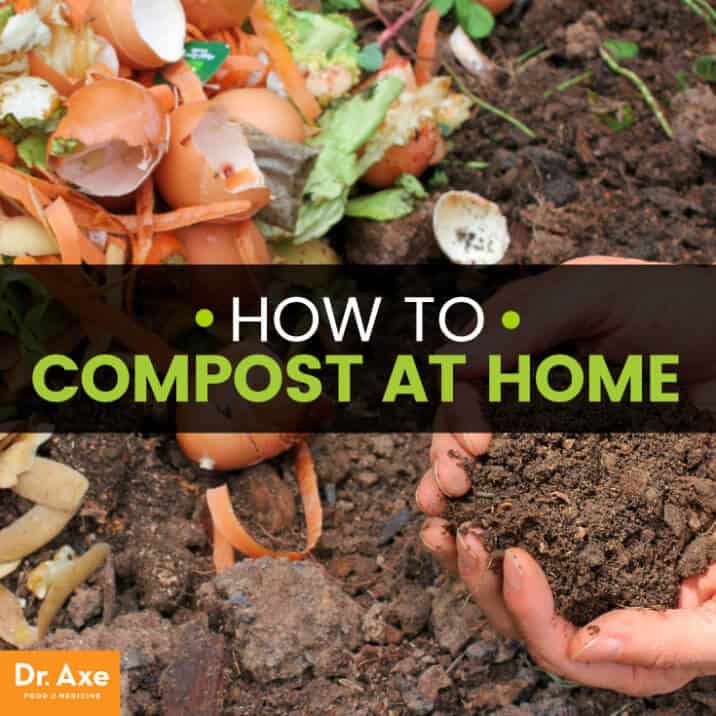 DIY Compost Simple Steps to Make 'Black Gold' at Home Dr. Axe
