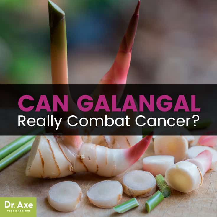 Galangal - Dr. Axe