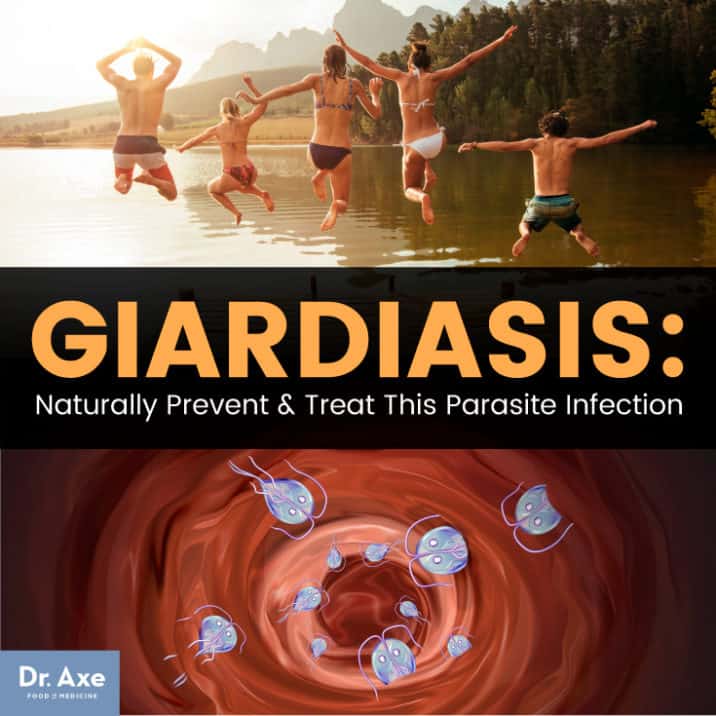 Giardiasis Prevention + 4 Natural Treatments for Giardia Infection Dr. Axe