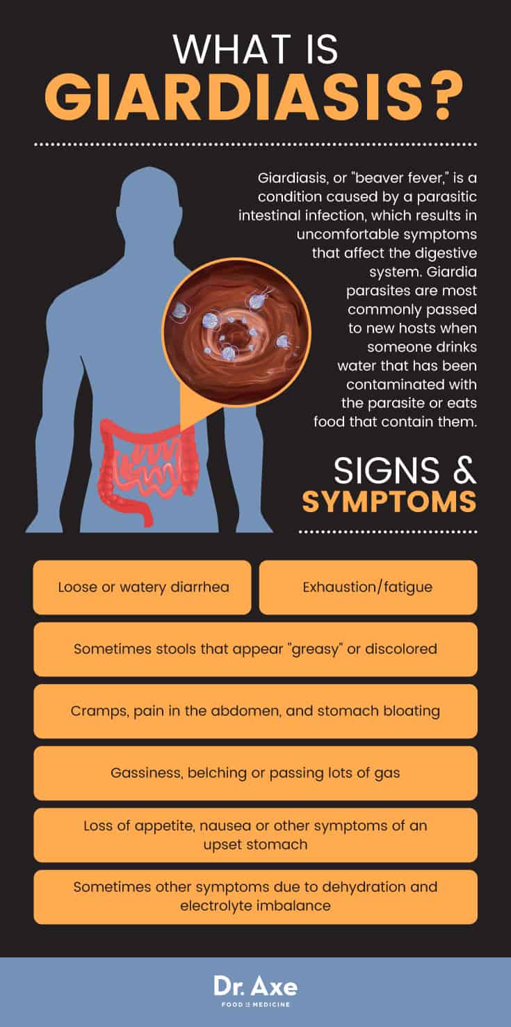 Giardiasis signs & symptoms - Dr. Axe