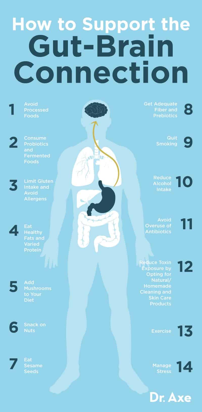 The Gut Brain Connection How It Works How To Support It Dr Axe