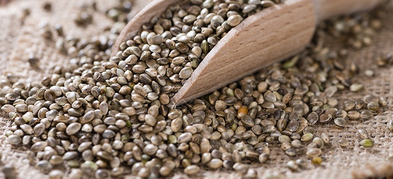 Hemp Seeds Benefits, Nutrition, Uses and Side Effects - Dr. Axe