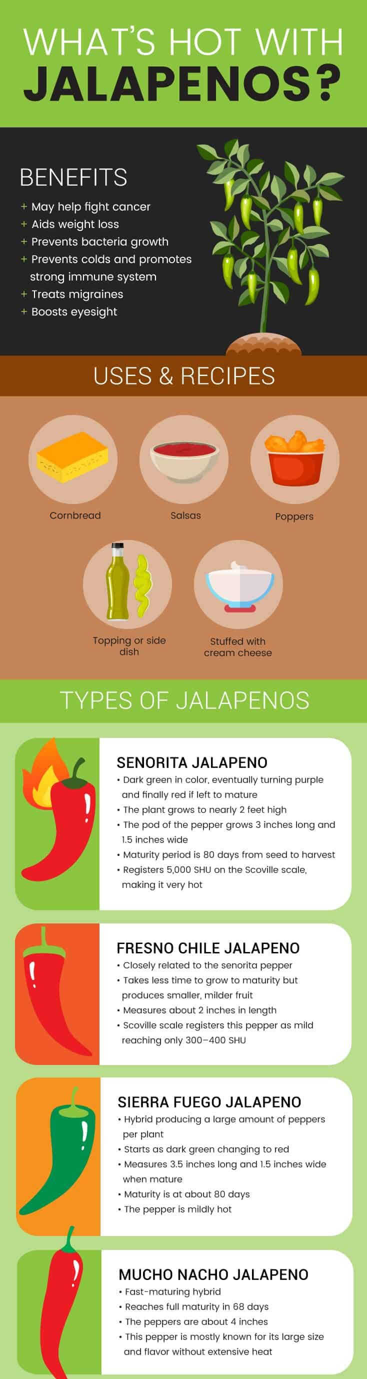 What's hot with jalapenos - Dr. Axe