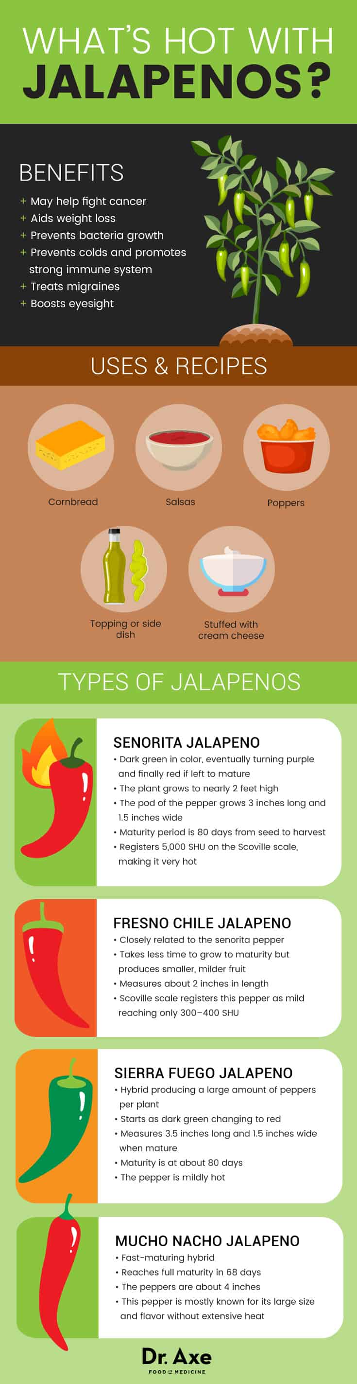 Jalapenos Benefits, Nutrition Facts, Types and Comparisons Dr. Axe