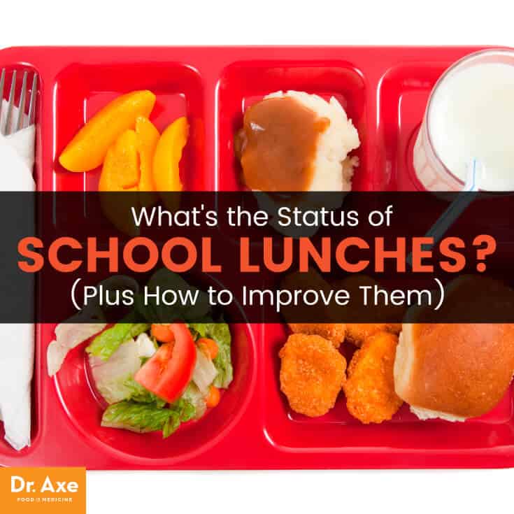 School Lunch Changes Pros Cons What To Do About School Lunches 