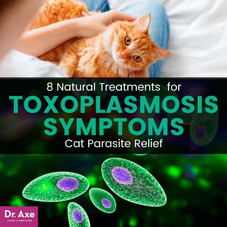 Toxoplasmosis Symptoms + 8 Natural Treatments Dr. Axe