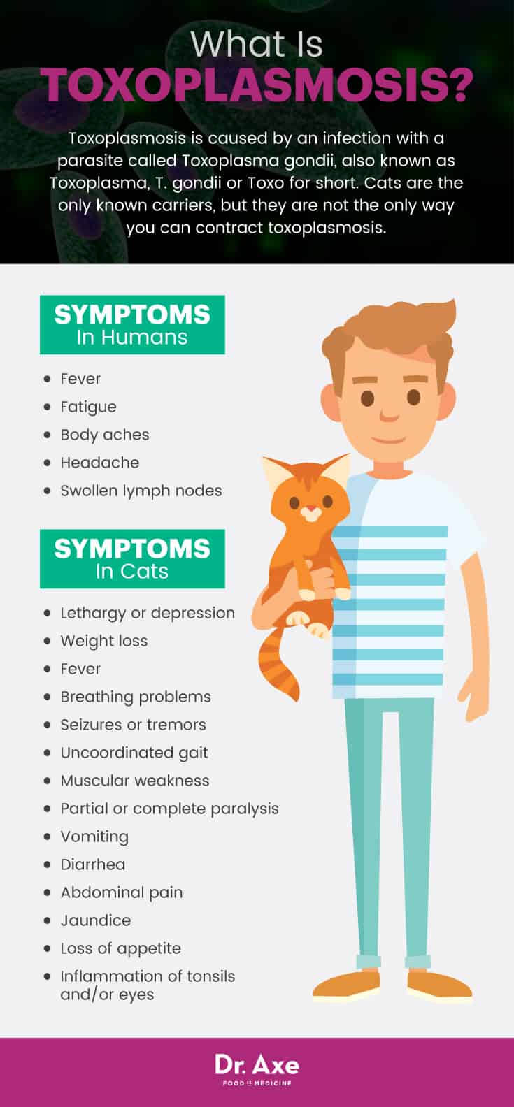 Toxoplasmosis symptoms in humans and cats - Dr. Axe