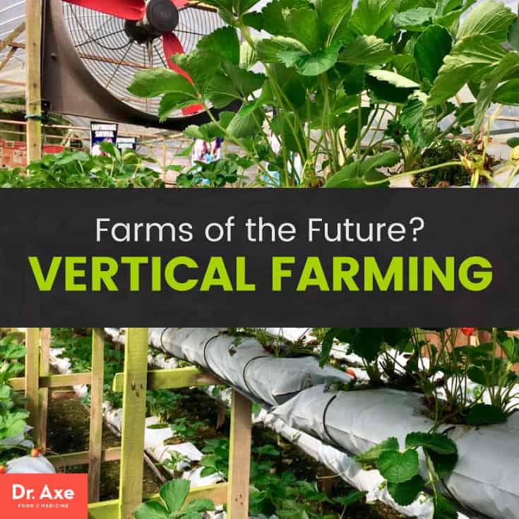 Vertical farming - Dr. Axe