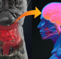 Gut-brain connection - Dr. Axe