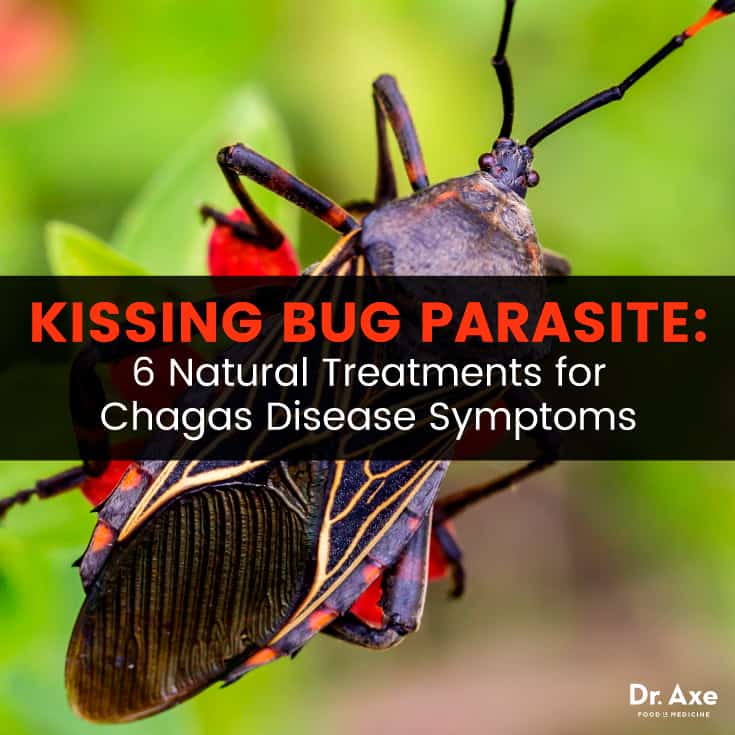 Chagas disease - Dr. Axe