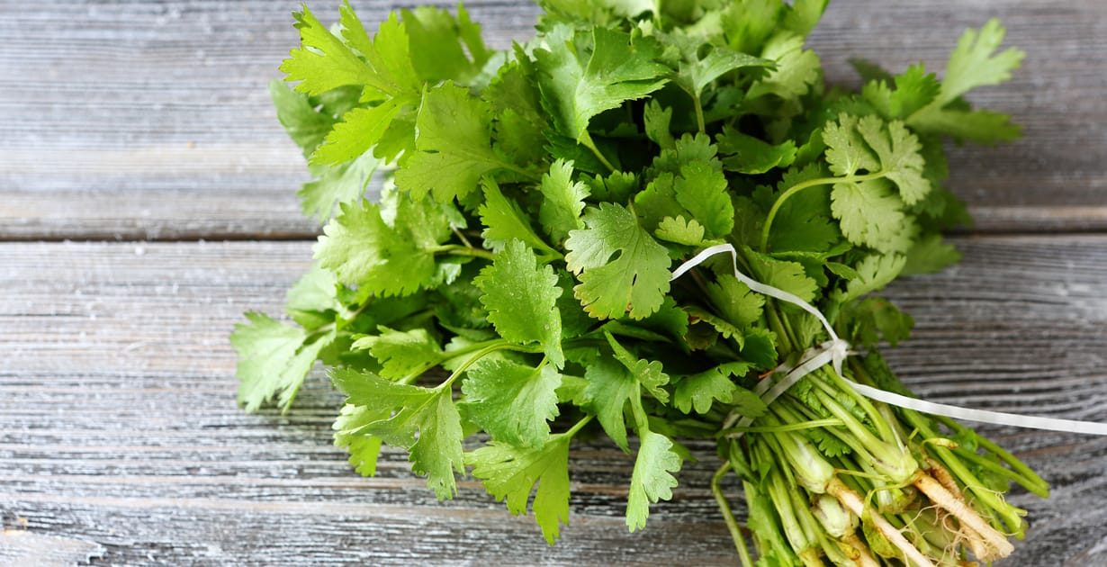 12 Cilantro Benefits, Nutrition, Uses and Recipes - Dr. Axe