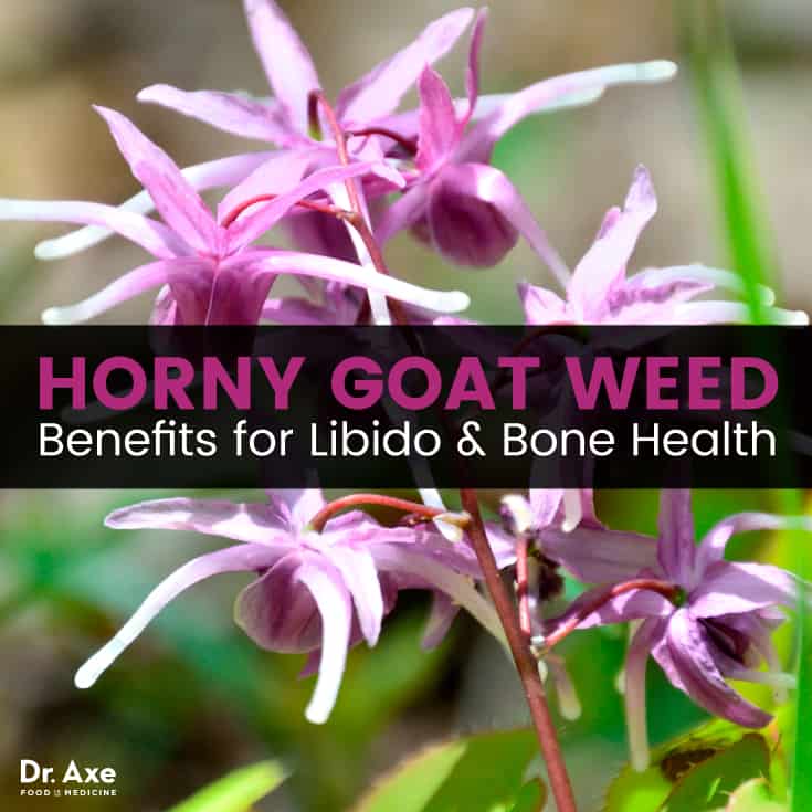 Horny Goat Weed Benefits for Libido & Bone Health - Outstanding new...