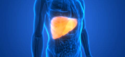 Liver Function, Disease and Symptoms (With Natural Remedies) - Dr. Axe