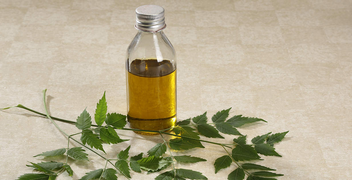 Neem Oil for Skin and Plants: How to Use, Benefits, More - Dr. Axe