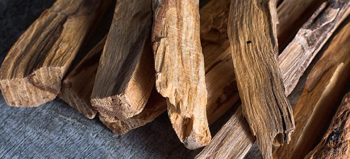 Palo Santo Benefits, Uses, Recipes and Side Effects - Dr. Axe