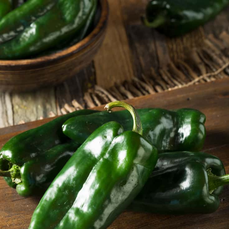 Poblano pepper - Dr. Axe