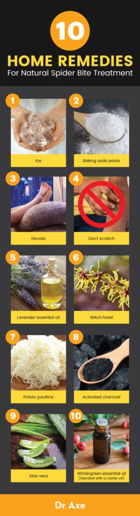 Spider Bite Treatment: 10 Natural Home Remedies - Dr. Axe