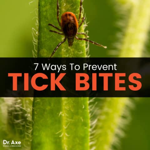 Powassan Virus: 7 Ways to Prevent Tick Bites & Avoid This Infection ...