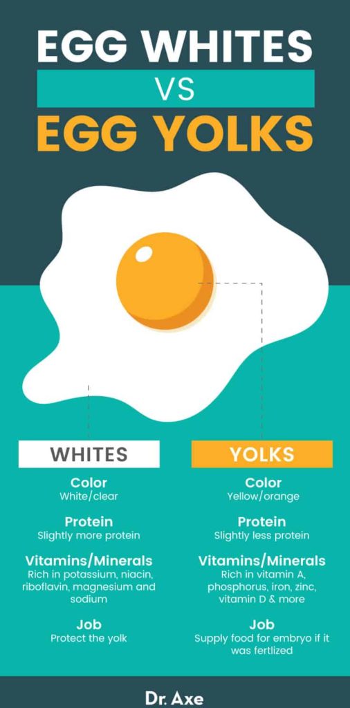 egg-white-nutrition-benefits-recipes-use-and-side-effects-dr-axe