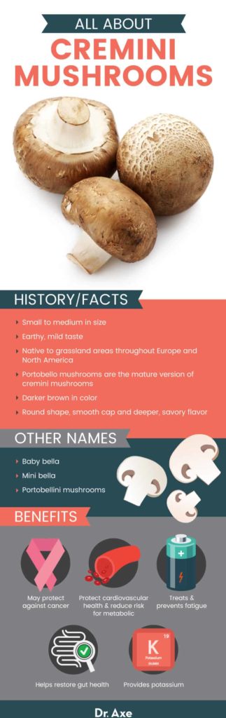 What Are Cremini Mushrooms? Benefits, Uses, Recipes - Dr. Axe