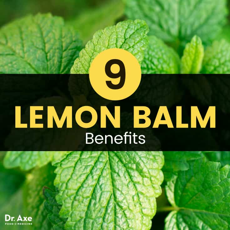 Lemon balm - Dr. Axe