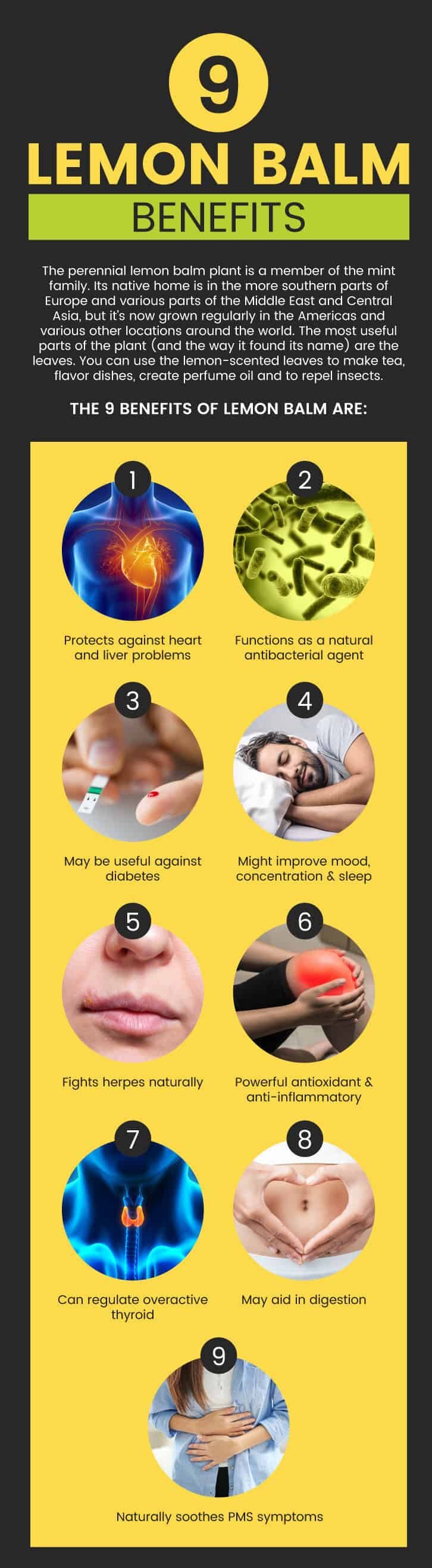 9 lemon balm benefits - Dr. Axe