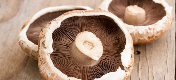 Portobello Mushroom Benefits, Nutrition, Recipes And More - Dr. Axe