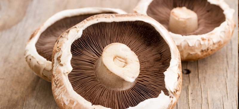Portobello mushroom - Dr. Axe