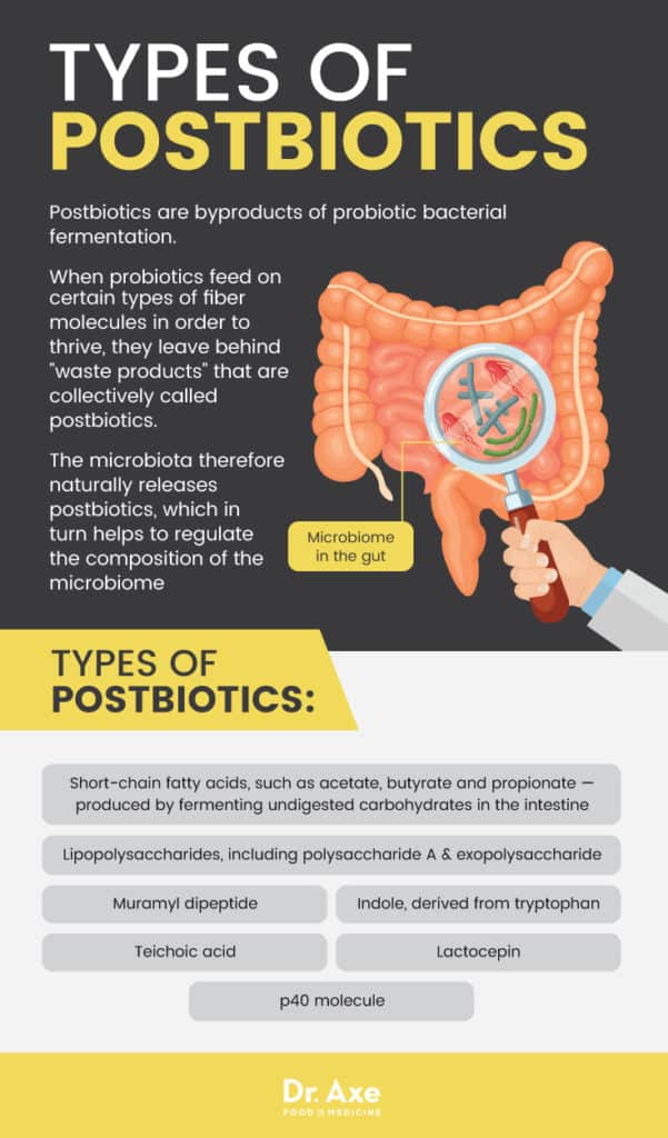 Postbiotics Uses + 5 Benefits for Gut Health & Beyond Dr. Axe