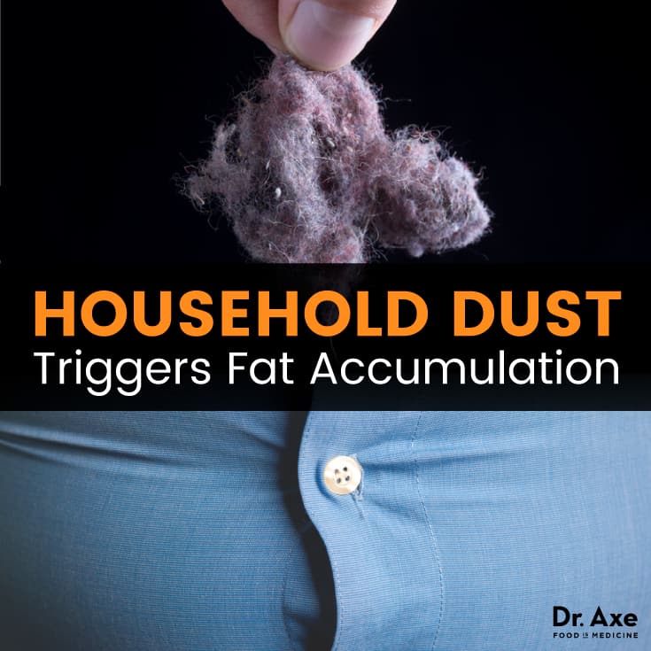 House dust causes weight gain - Dr. Axe