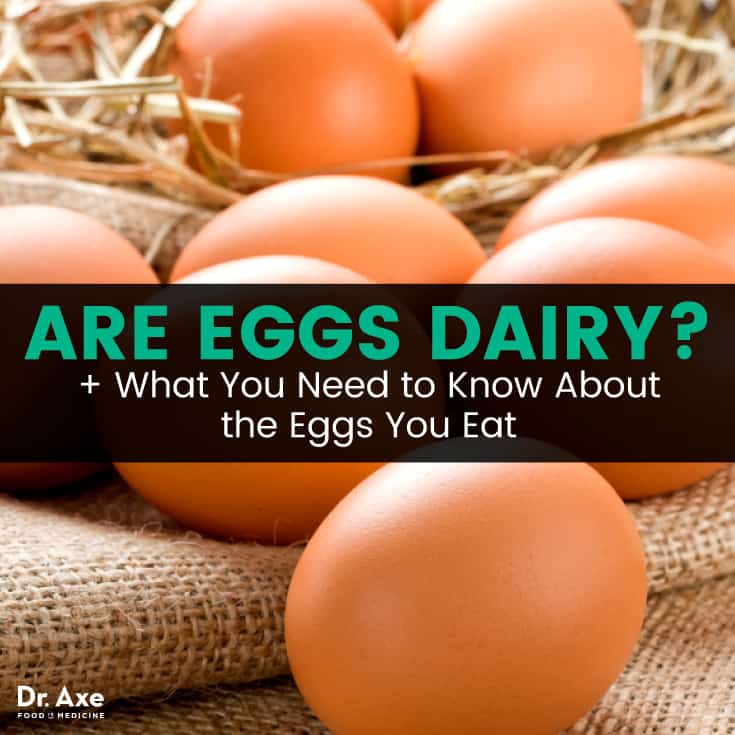 Are eggs dairy? - Dr. Axe