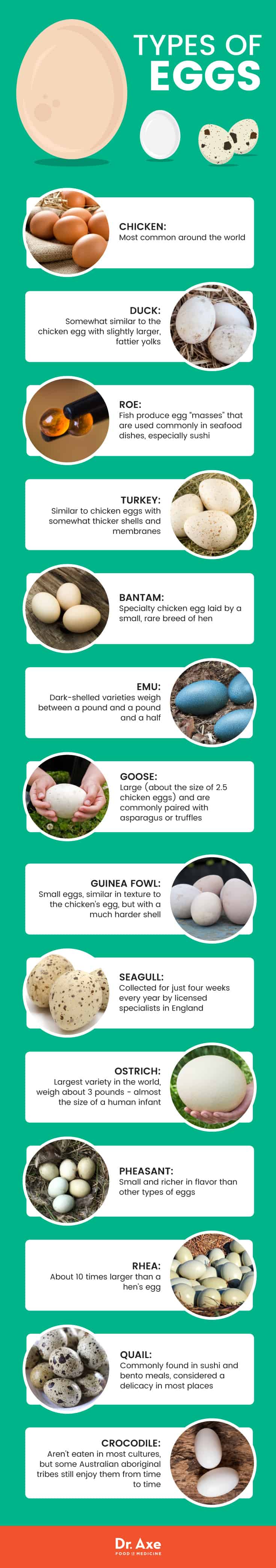 Types of eggs - Dr. Axe