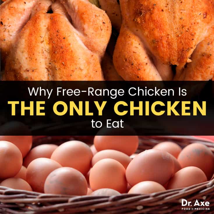 Free-range chicken - Dr. Axe