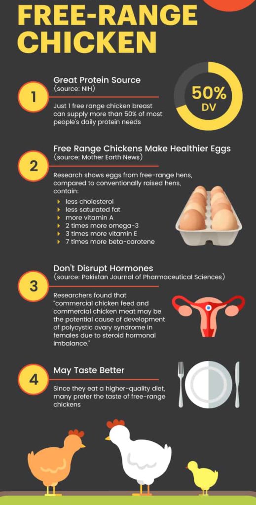 Free-Range Chicken Benefits vs. Conventional Chicken Concerns - Dr. Axe