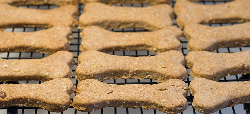 how do you preserve homemade dog biscuits