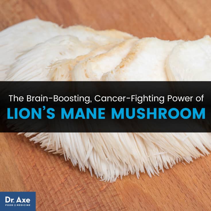 Lion's mane mushroom - Dr. Axe
