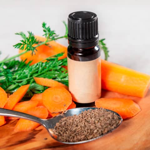 Carrot Seed Oil Benefits and Uses - Dr. Axe