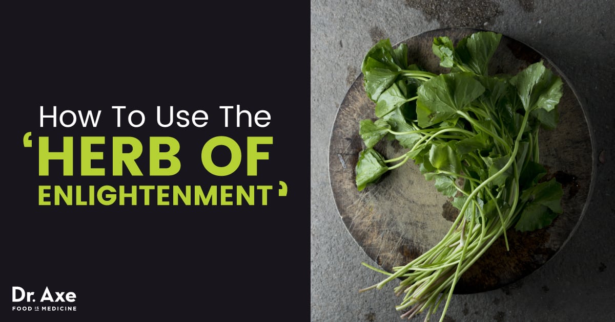 Gotu Kola May Help Boost Your Memory Mood Other Benefits Dr Axe