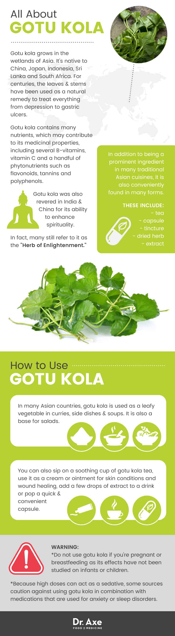 Gotu kola infographic - Dr. Axe