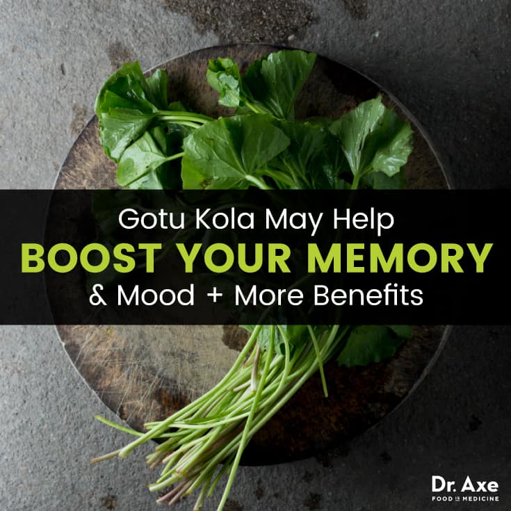 Gotu Kola - Dr. Axe